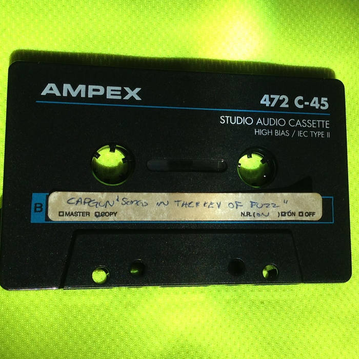 Songs In The Key Of Fuzz