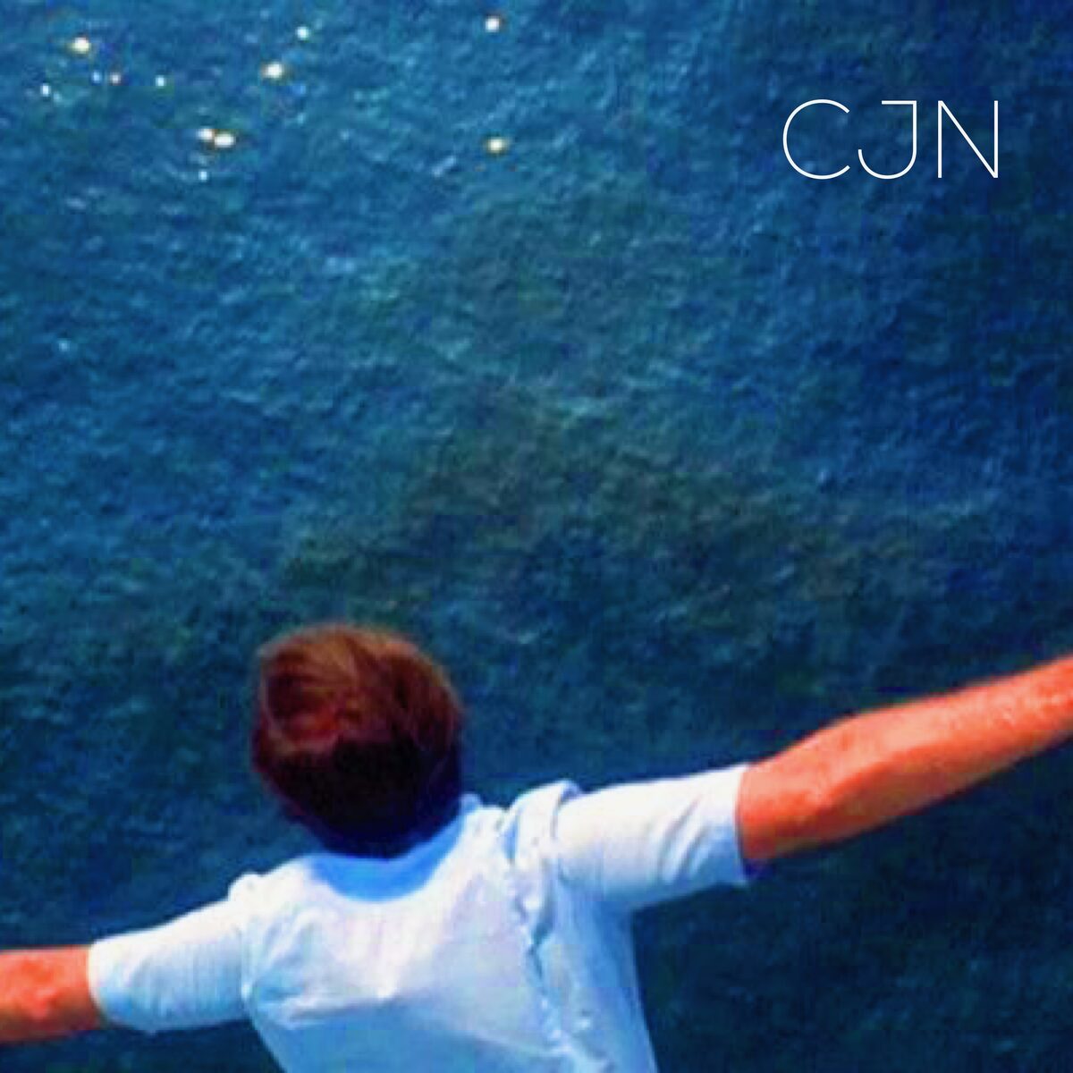 Let's Dive Right In cover